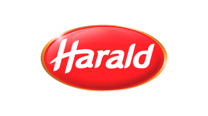 Logo 4